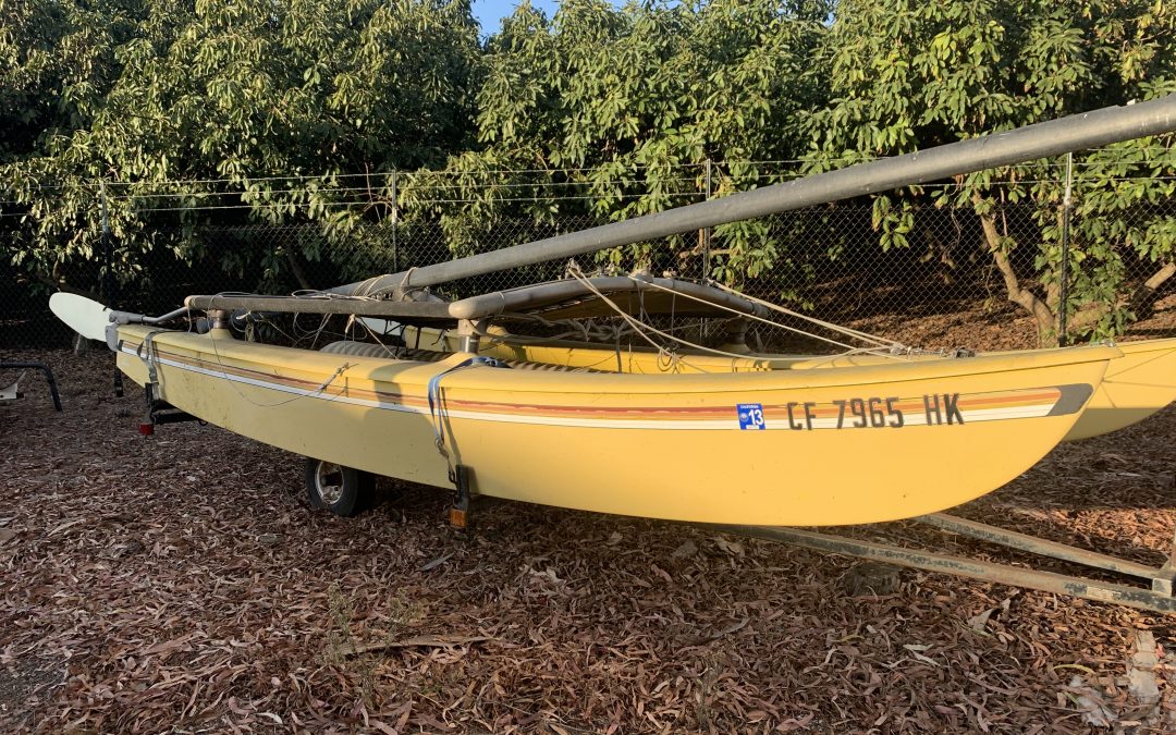 1981 Yellow Hobie 16 Gets a new life!